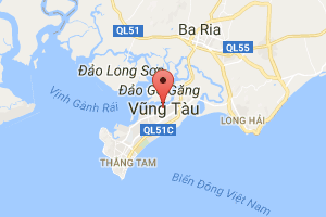 Cần bán đất đang trồng cao su 10 năm, đang thu hoạch